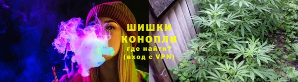 ГАЛЛЮЦИНОГЕННЫЕ ГРИБЫ Кукмор