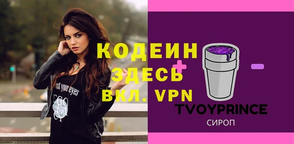 ГАЛЛЮЦИНОГЕННЫЕ ГРИБЫ Кукмор