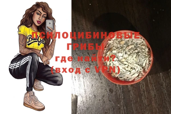 ГАЛЛЮЦИНОГЕННЫЕ ГРИБЫ Кукмор