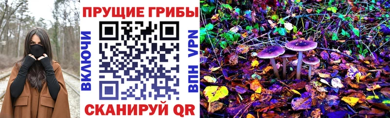 Псилоцибиновые грибы мухоморы  Купить где  Шахунья 